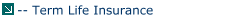 -- Term Life Insurance